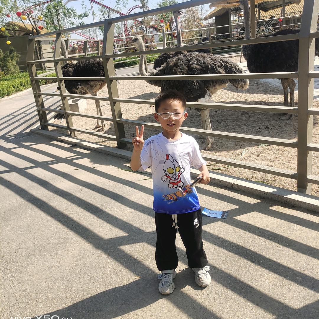山东小马哥