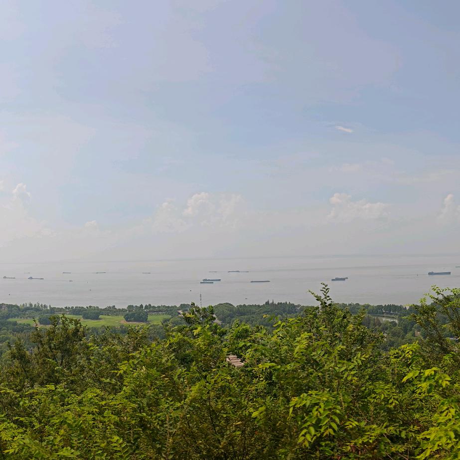 小墩墩