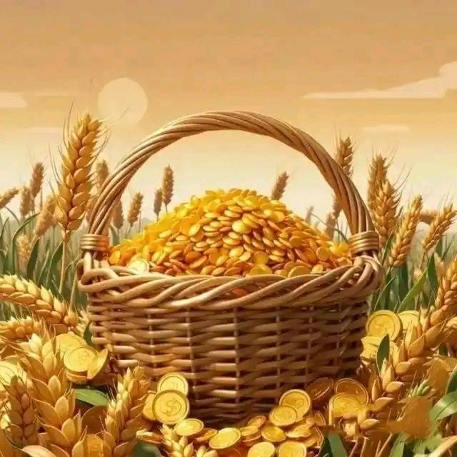 蝶语欣荷