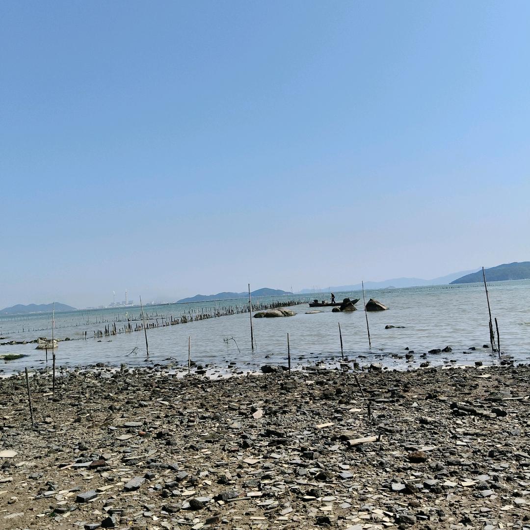 阿珊