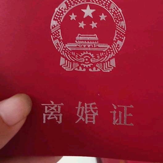 苦苦的李子
