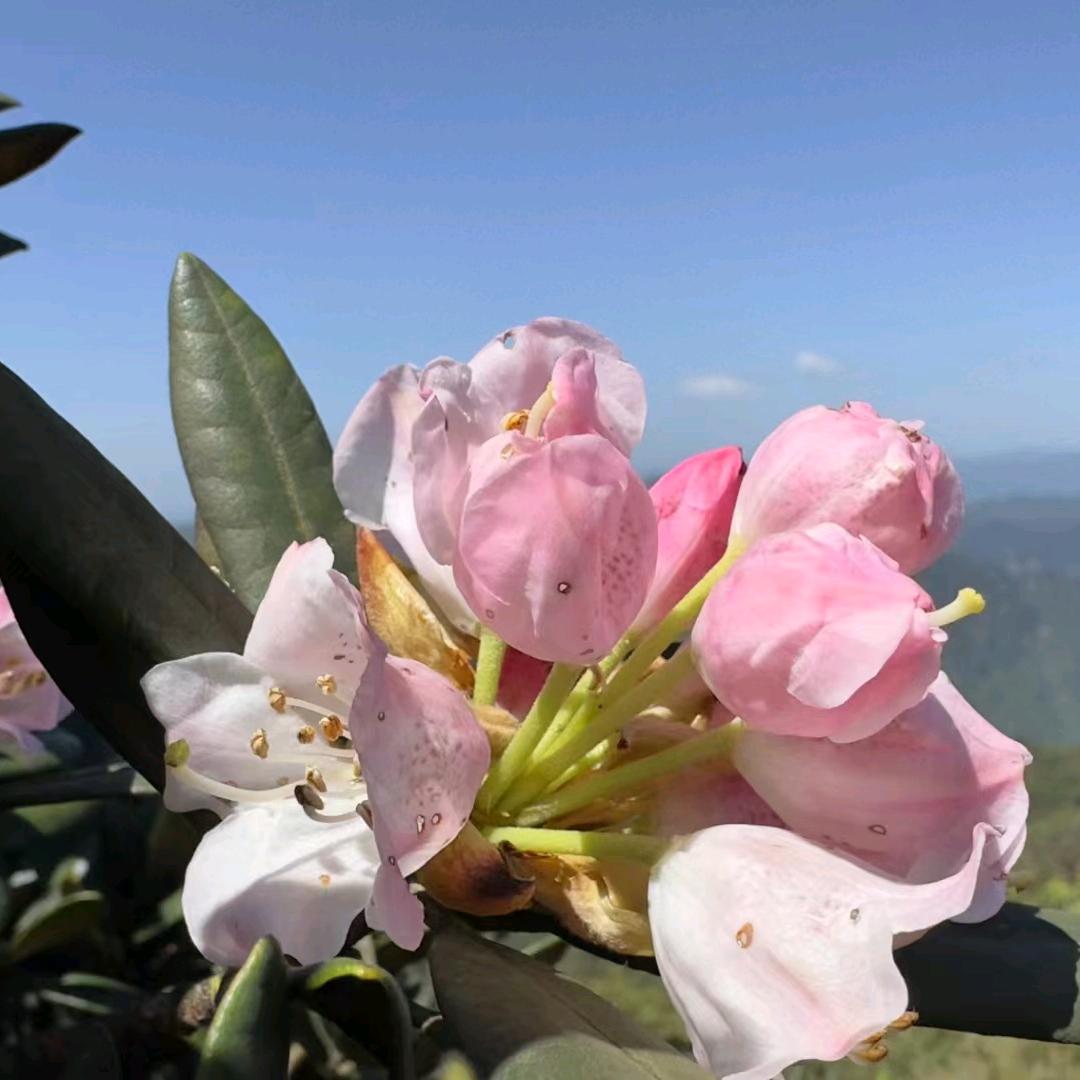 ༄༊࿆不念💞过往ღ᭄ꦿ࿐