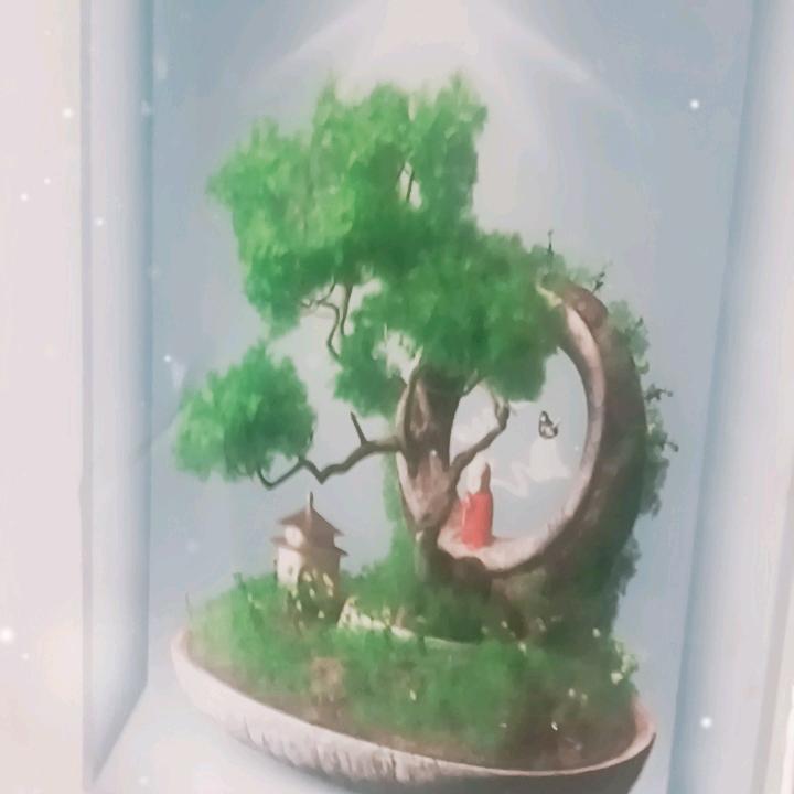 趙家四公子