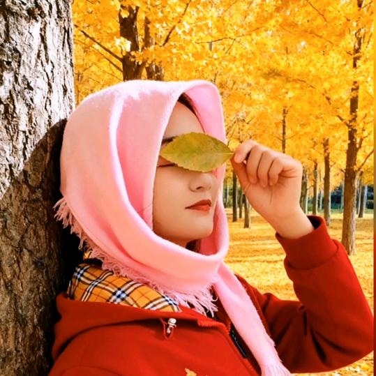 ℳ::______❥  wjdz  ❤