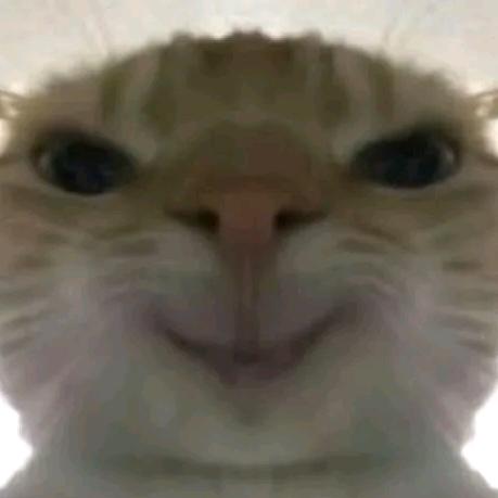 拾叁