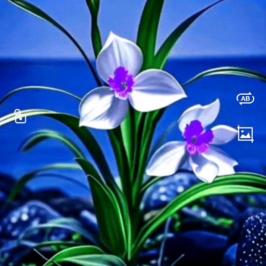 💞❃Ⴃ❃想望星空💞