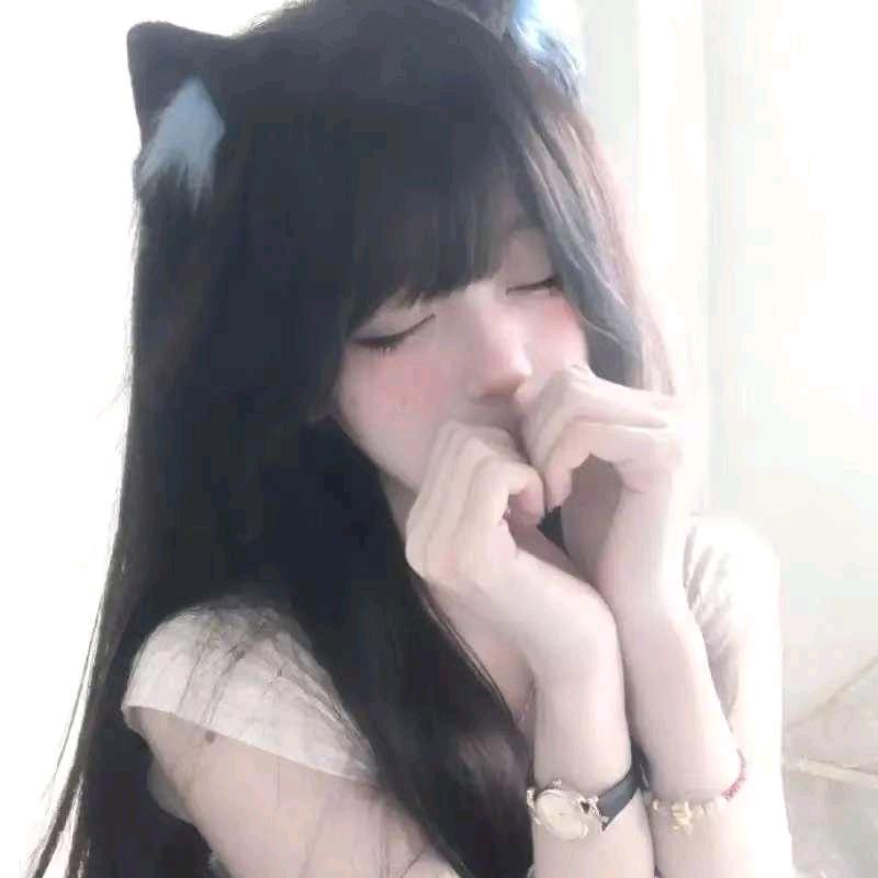 小猫告别诗