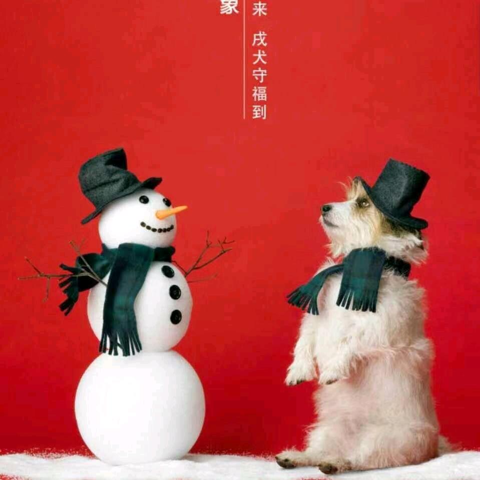 @致远