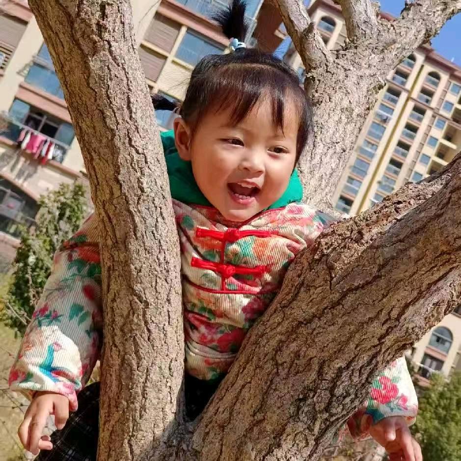 柠檬