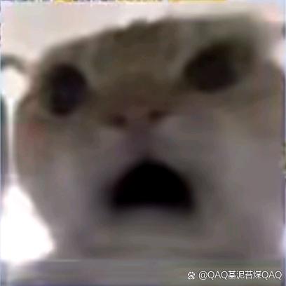 柠檬kk