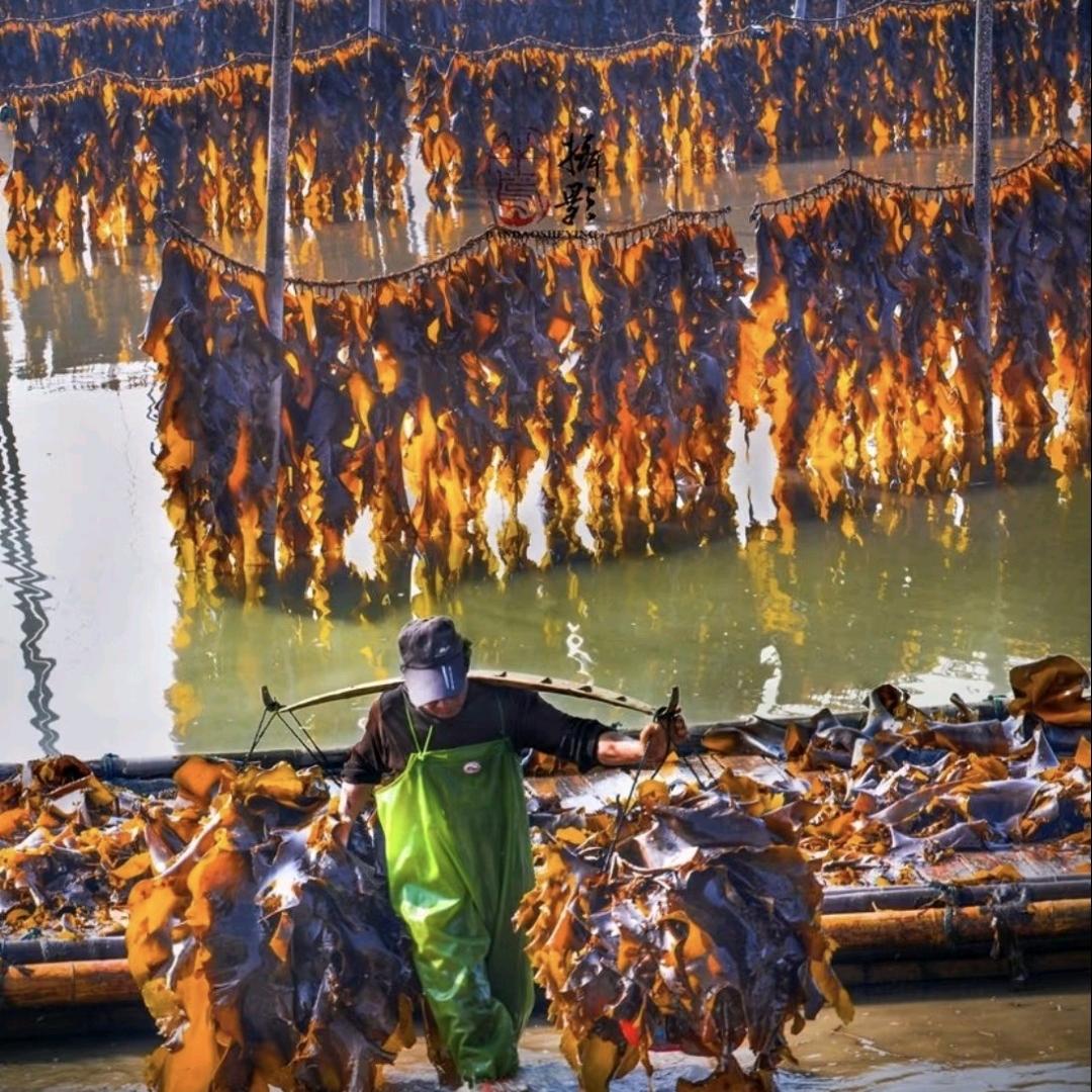 享鲜韵海带干货铺