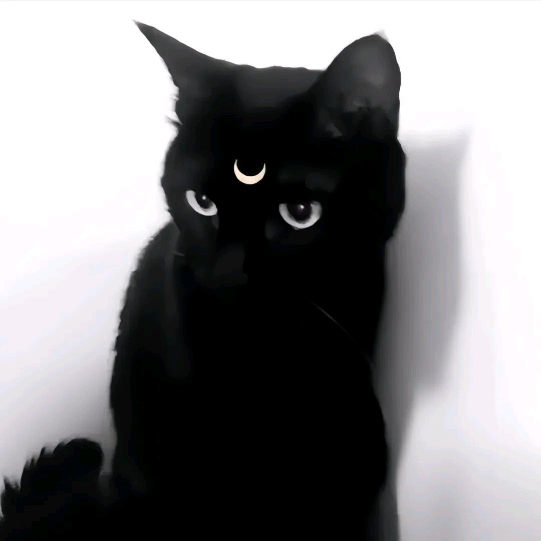 Lili