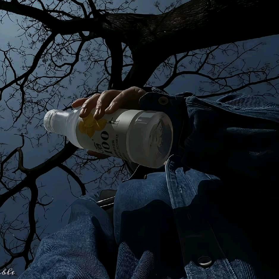 阿邹飞不高