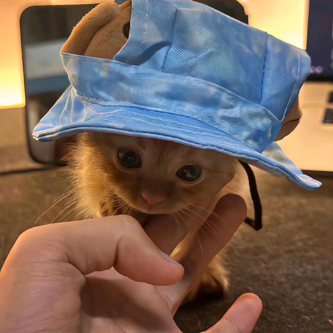 越越
