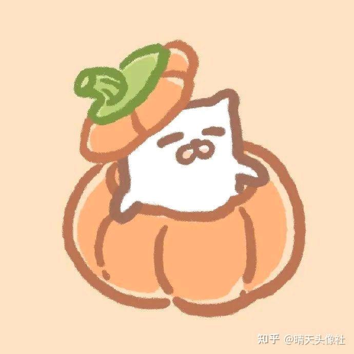 种花的橙子🍊