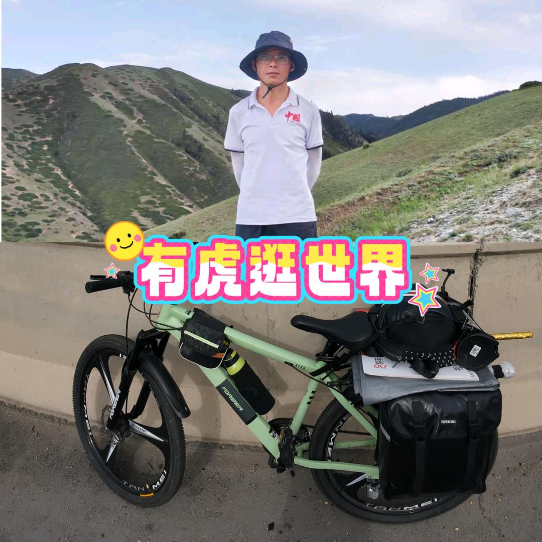 有虎逛世界