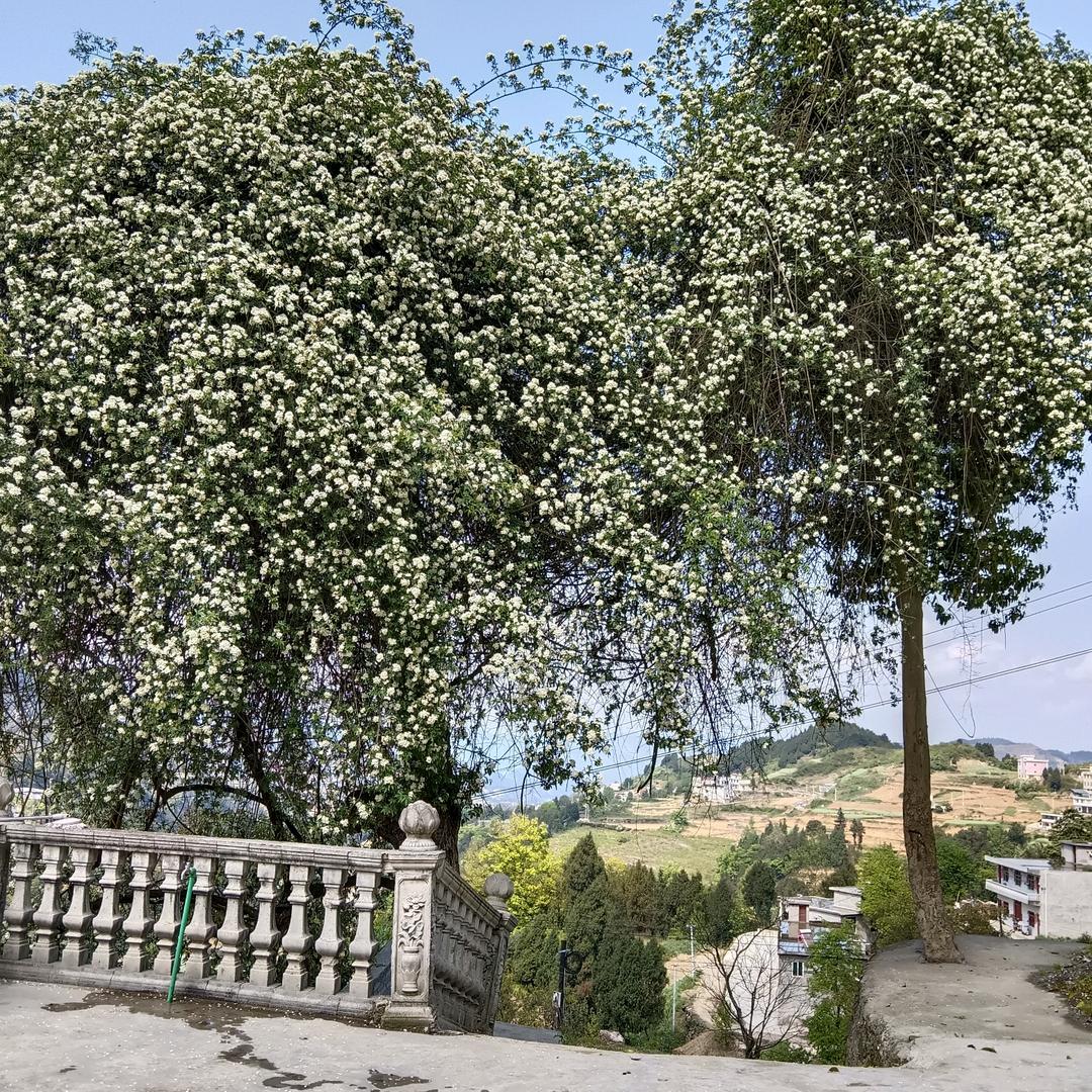 流浪人四海为家，