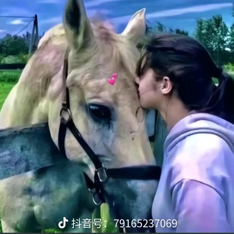 🌱ལས་ཀྱི་བདག་མོ་།🍀