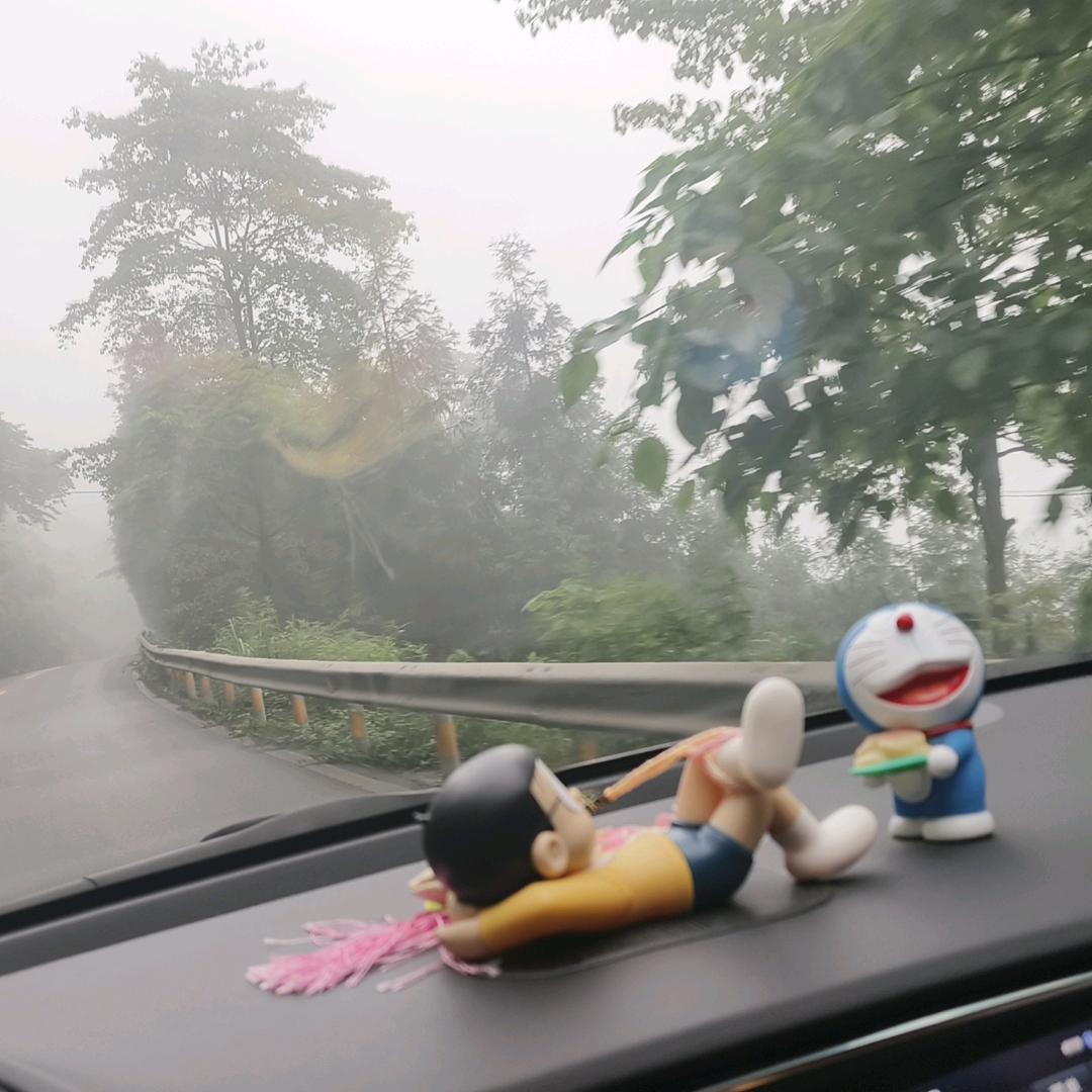 🍒如影☂️随形🍒