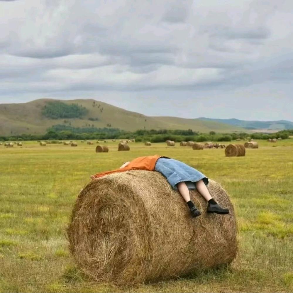 不会系鞋带的笨笨猪🐷