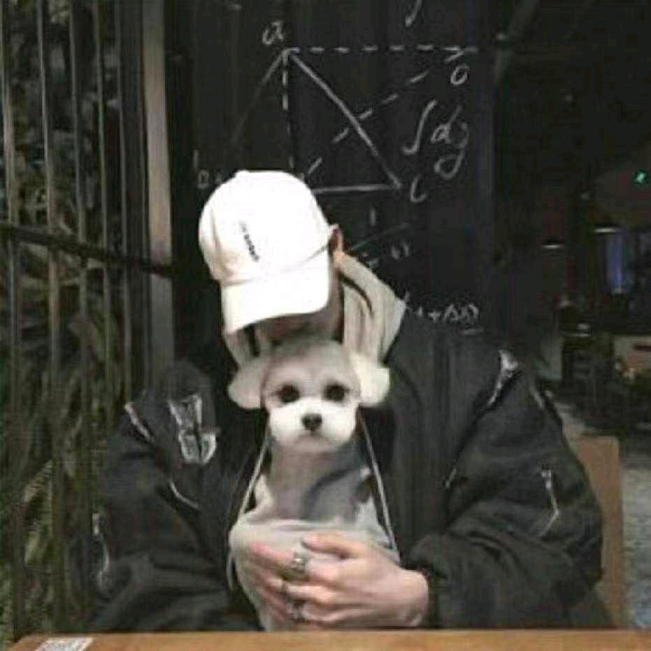 小亮学长