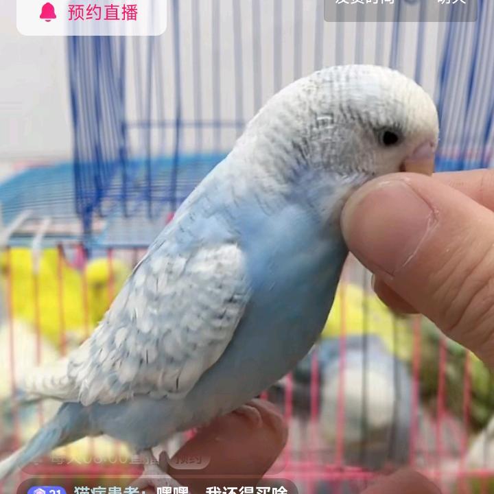临沂市心宠驿站服务有限公司小徐萌宠二号院