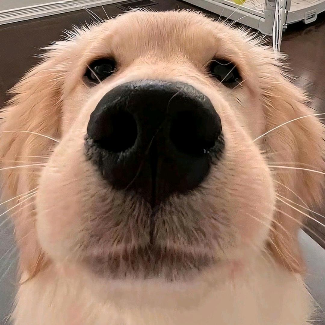 我那个豆