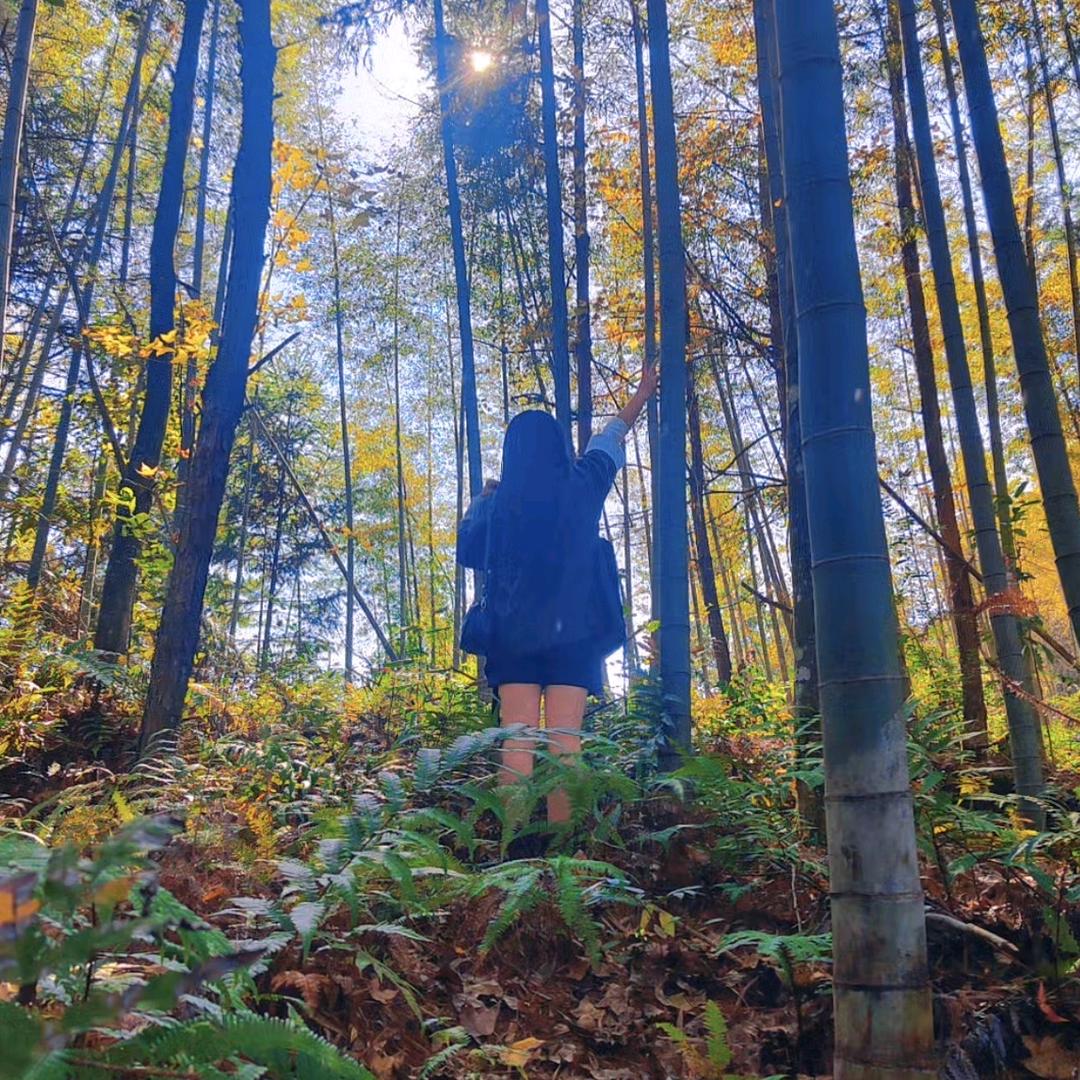 @绥宁💕糖糖公寓
