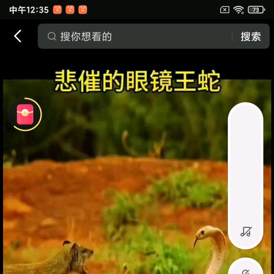 盒马季