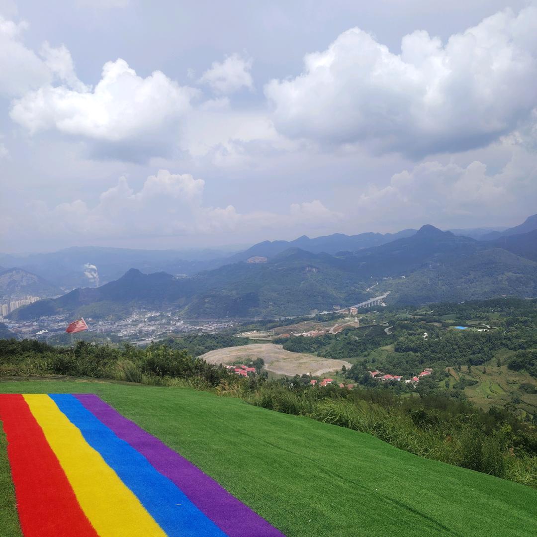 绝版波哥