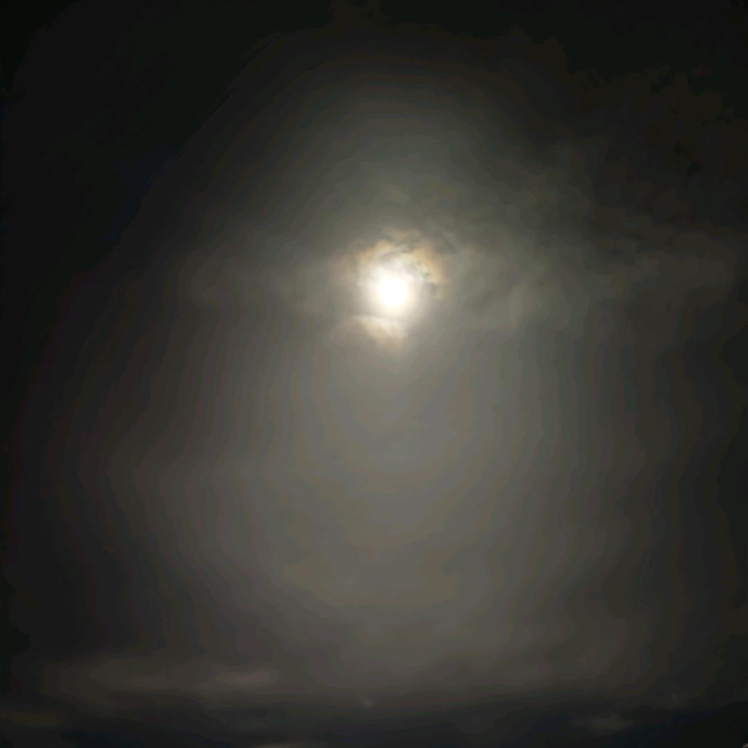 敏