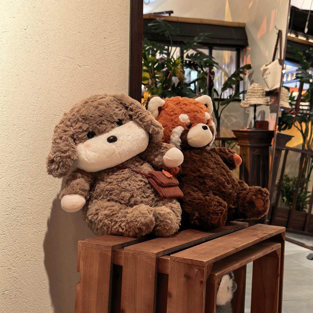 齐柒（求推荐版）