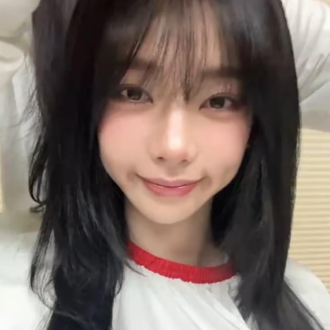 N.羊肉