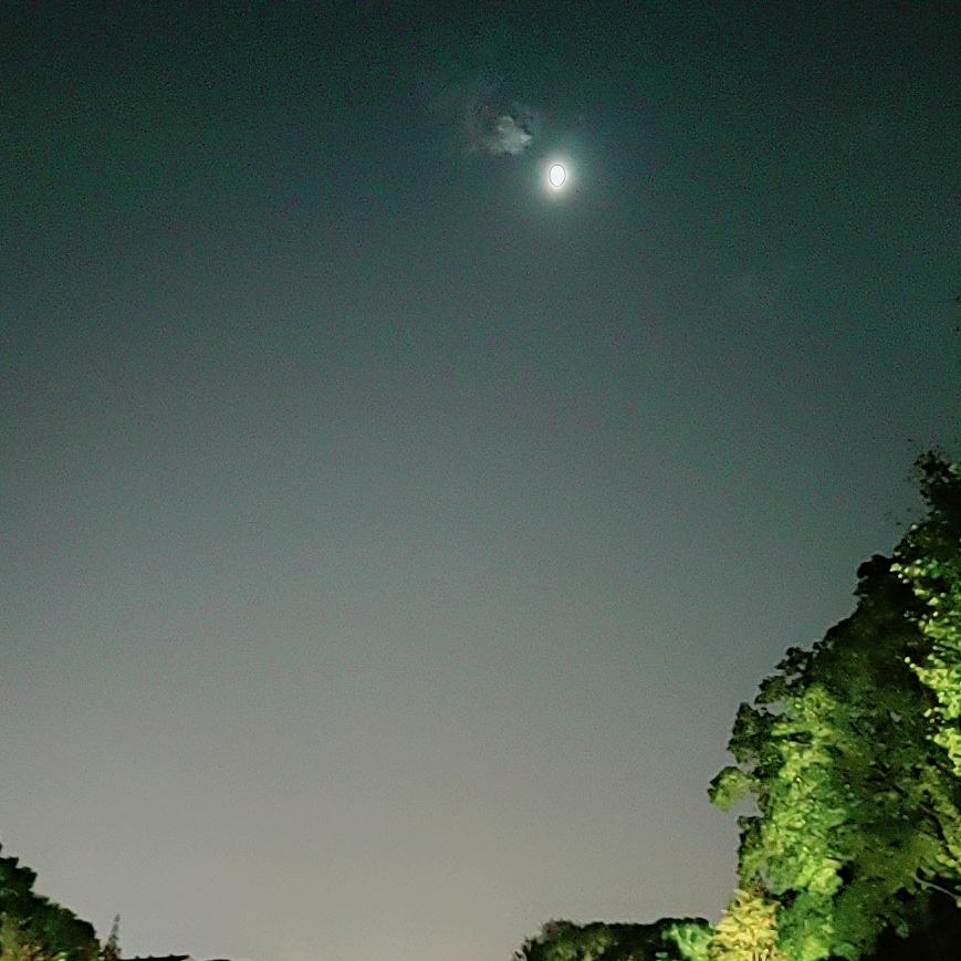 划重点