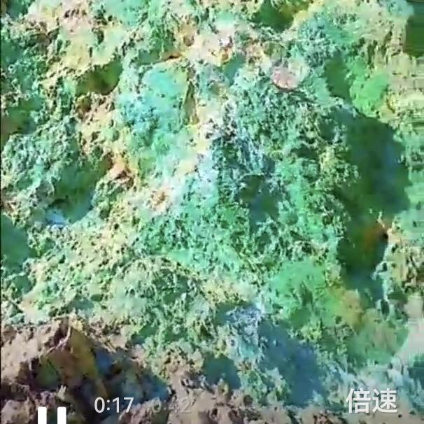 卢工找锑矿