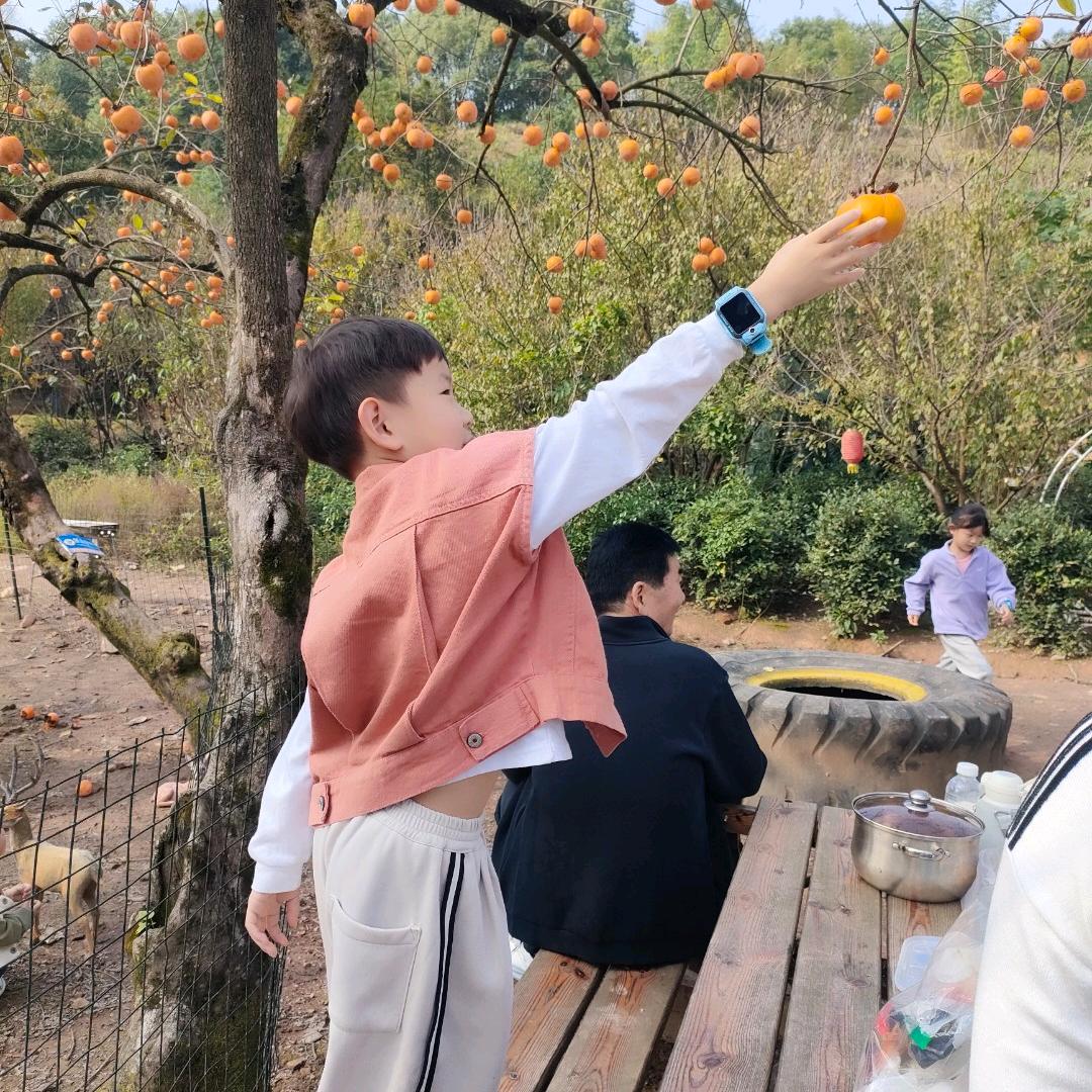 记录美好生活