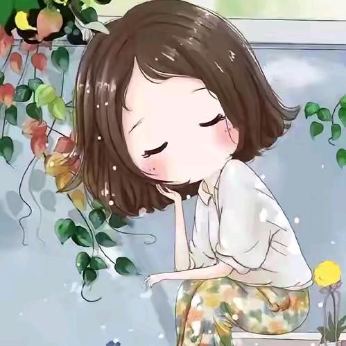 努力搬砖的小羊