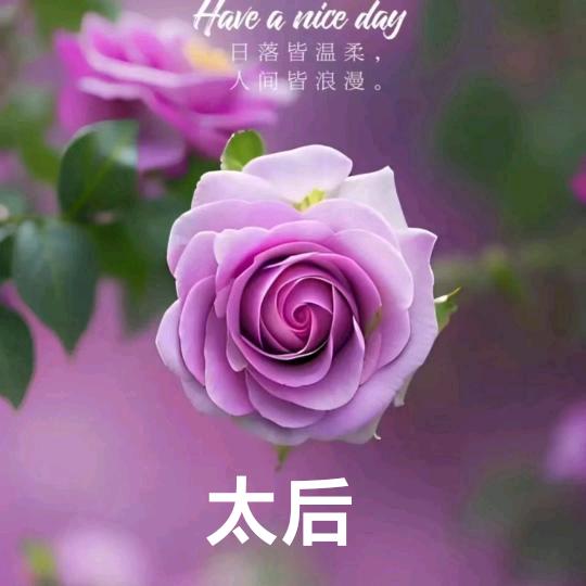 慈禧太后