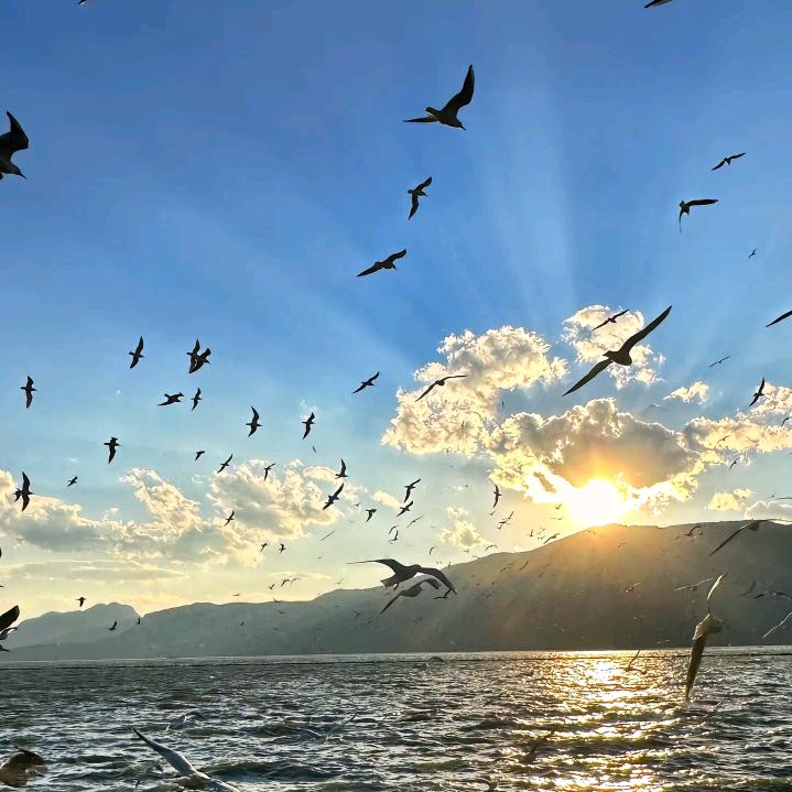 念念