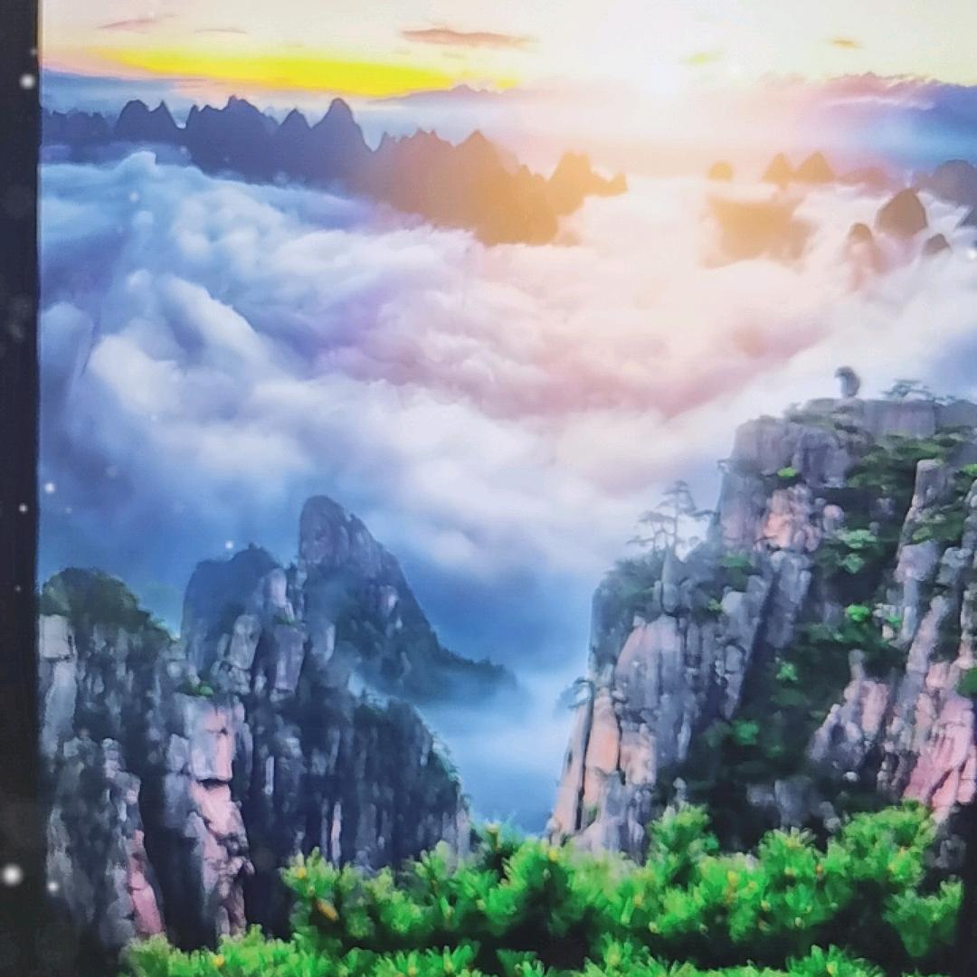 动龙波穿搭ING