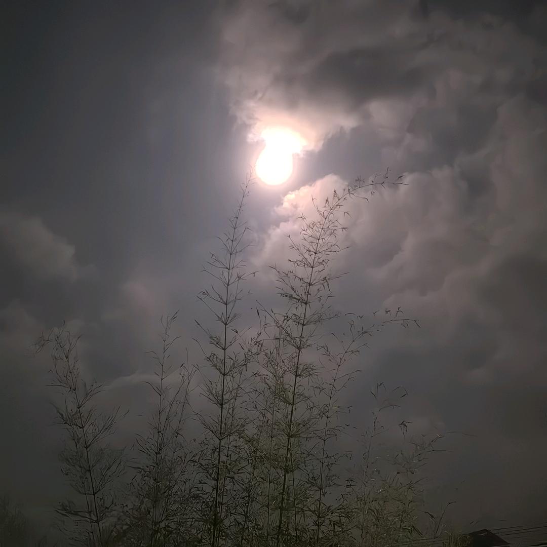 এ᭄无心࿐