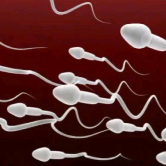 唐昊•精业（未来的海神）