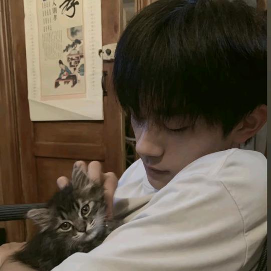 香菜不吃香菜（许嵩见过版）