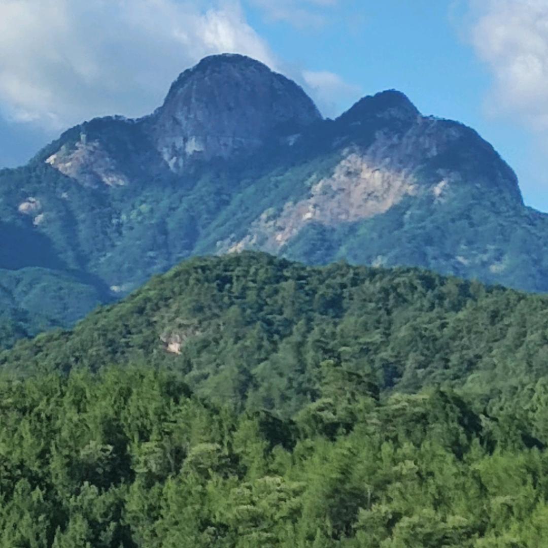 花香四溢