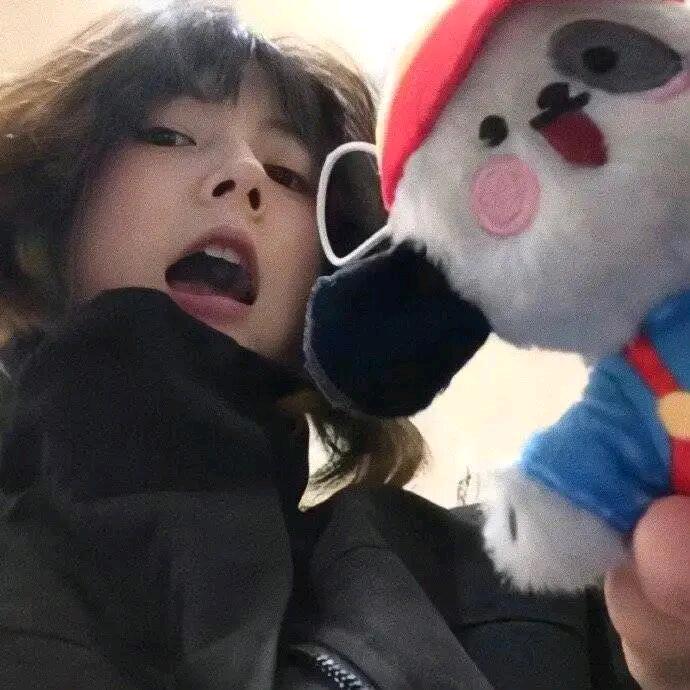 琪崽⭐