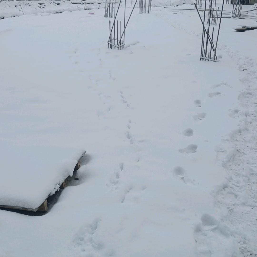 平安就是福单身的