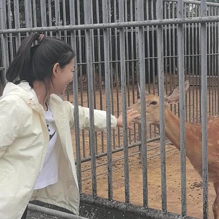 鹿鹿妹