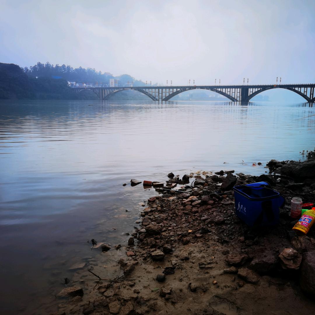 💜 歌舞升平💓