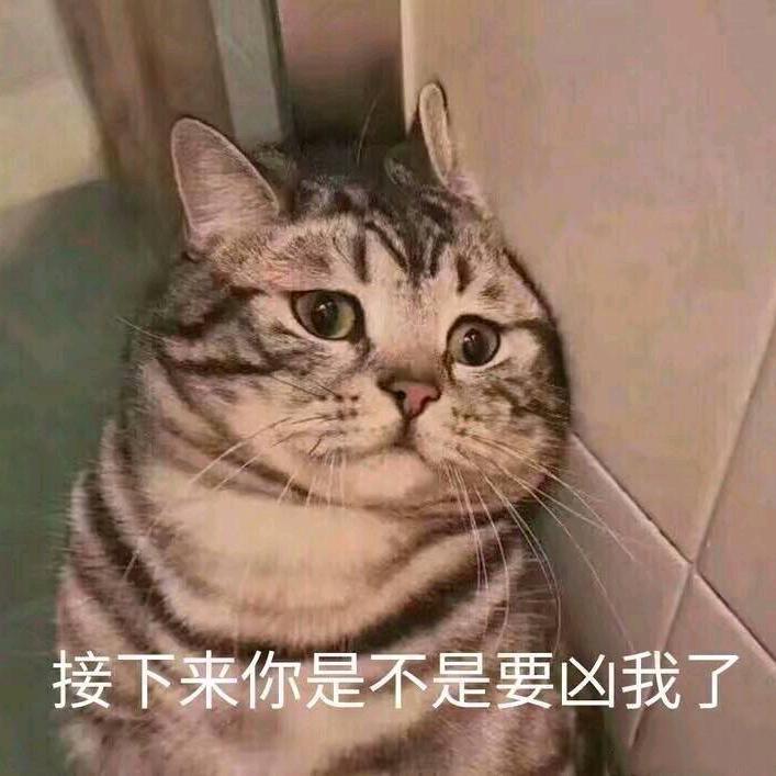 严睡太阳