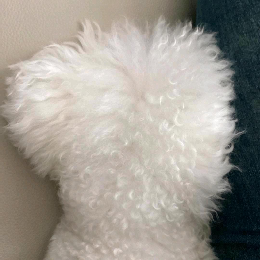 乙巳年夏褶子君在宇智波栽花花的世界枭枭桀